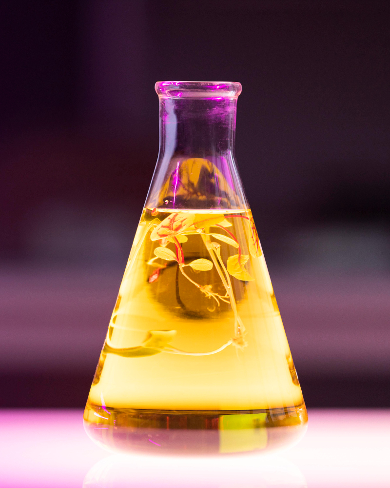 Pine Chemicals